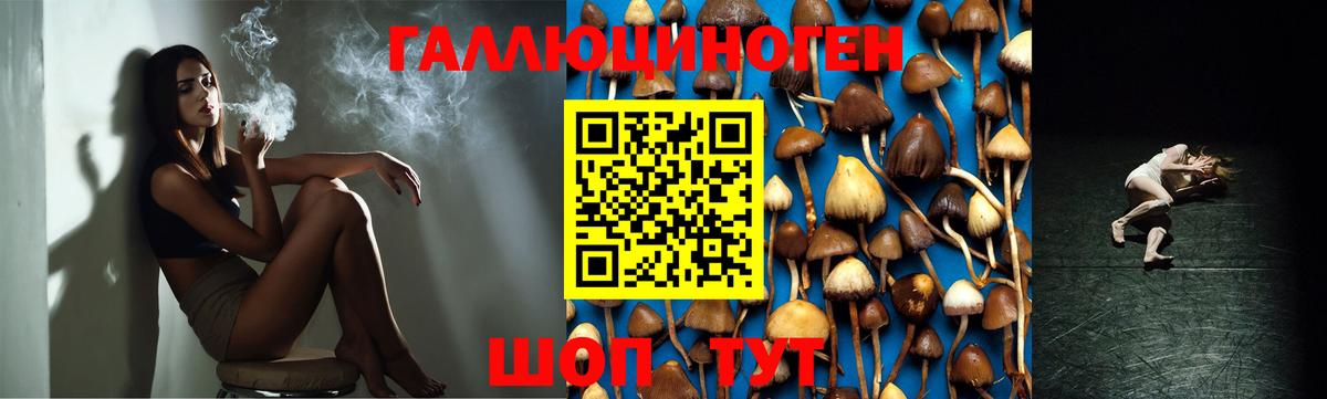 Псилоцибиновые грибы Magic Shrooms Новошахтинск